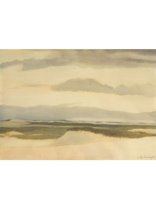 COASTAL DUNE
