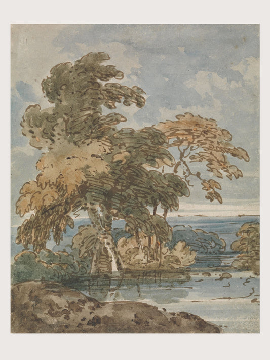 TREES BY A RIVER GALLERY SET