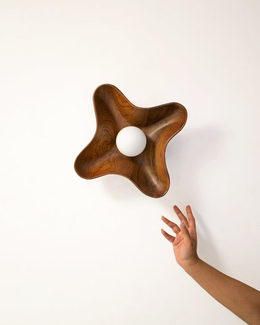 COMPASS WALL LIGHT