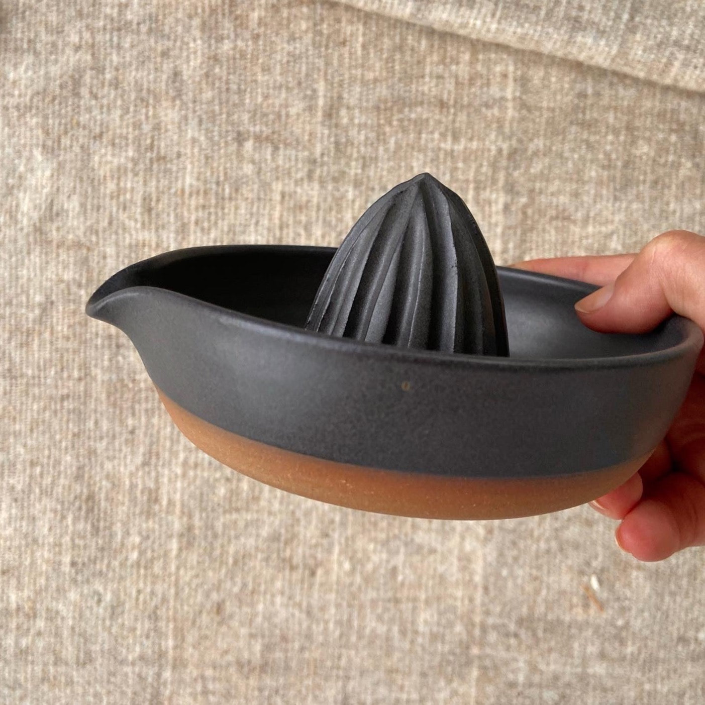 CITRUS NOTES JUICER