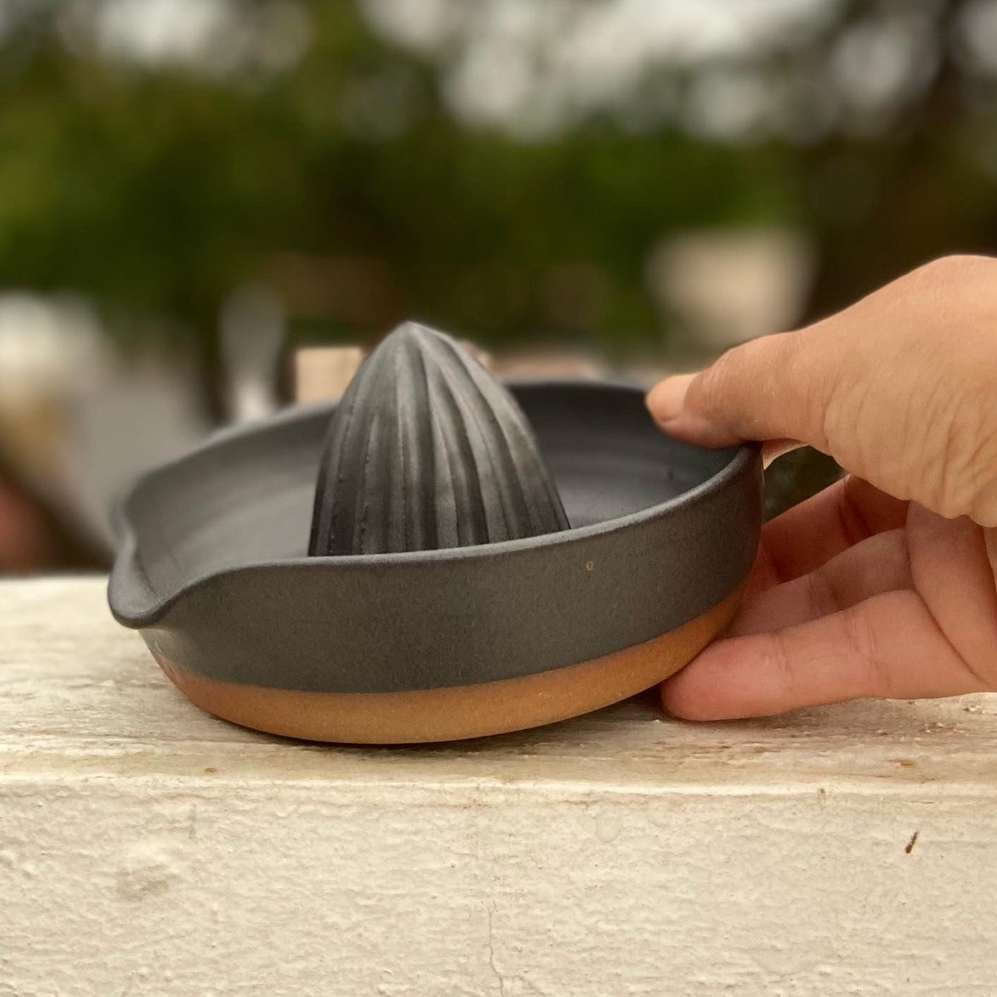 CITRUS NOTES JUICER