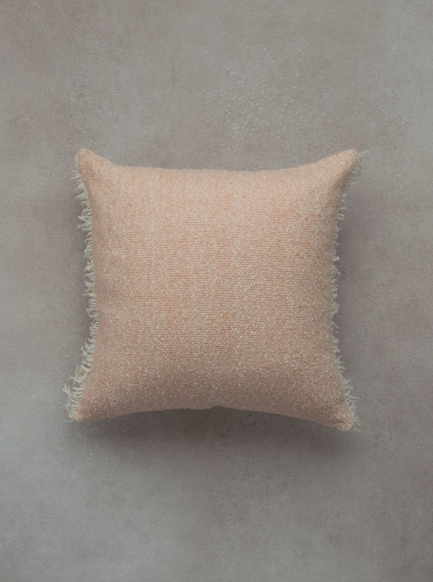 RILEY FRAYED CUSHION