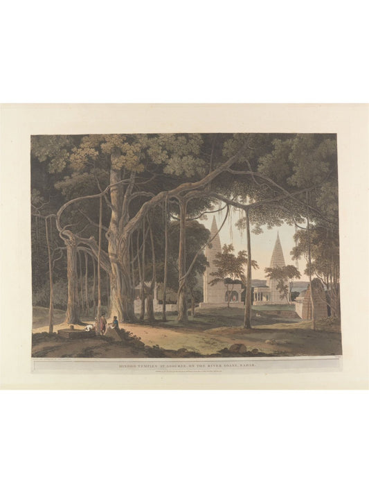 UNDER THE BANYAN TREE