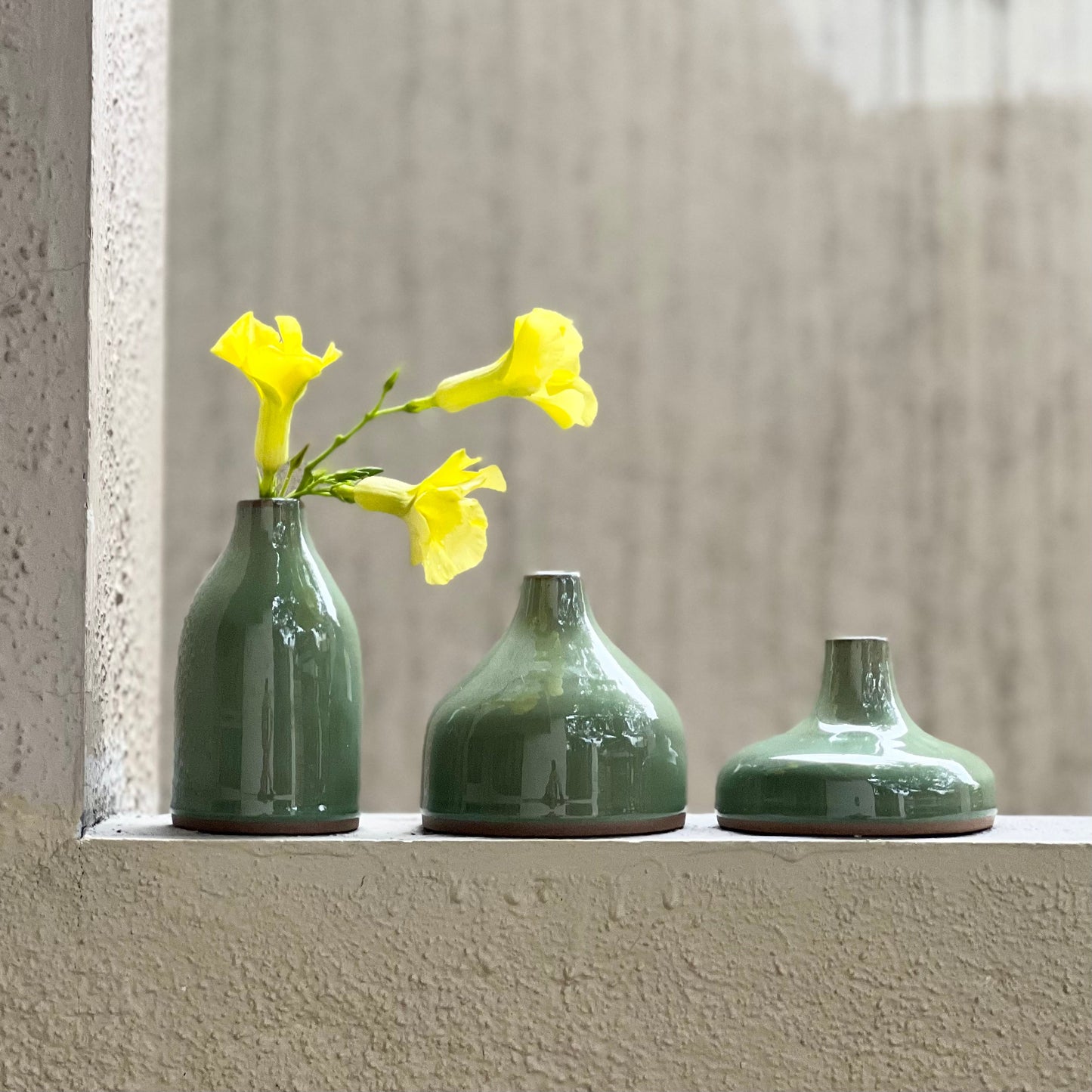 BUD VASES | SET OF 3 | THE FORAGING GARDEN COLLECTION
