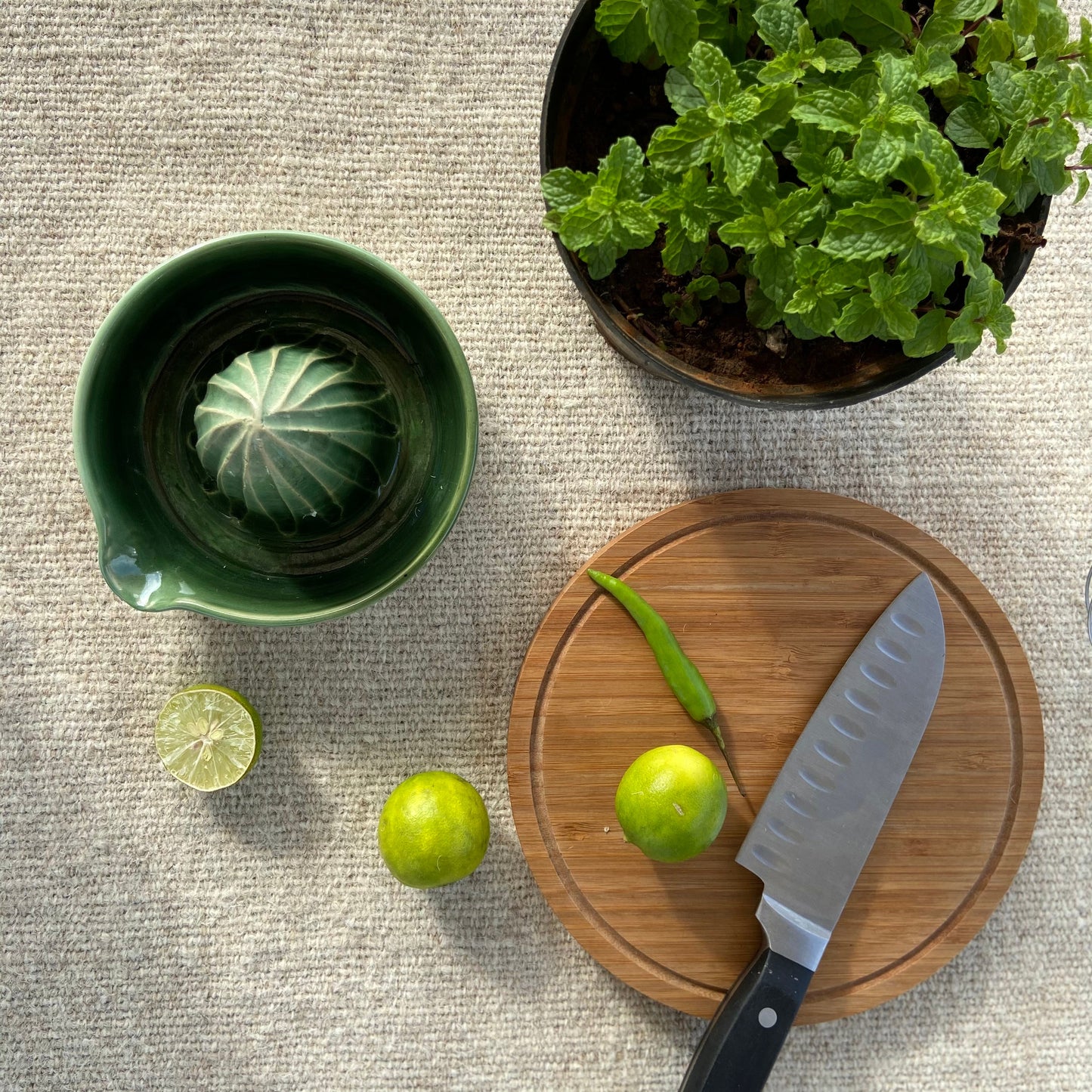 EMERALD FRUIT JUICER