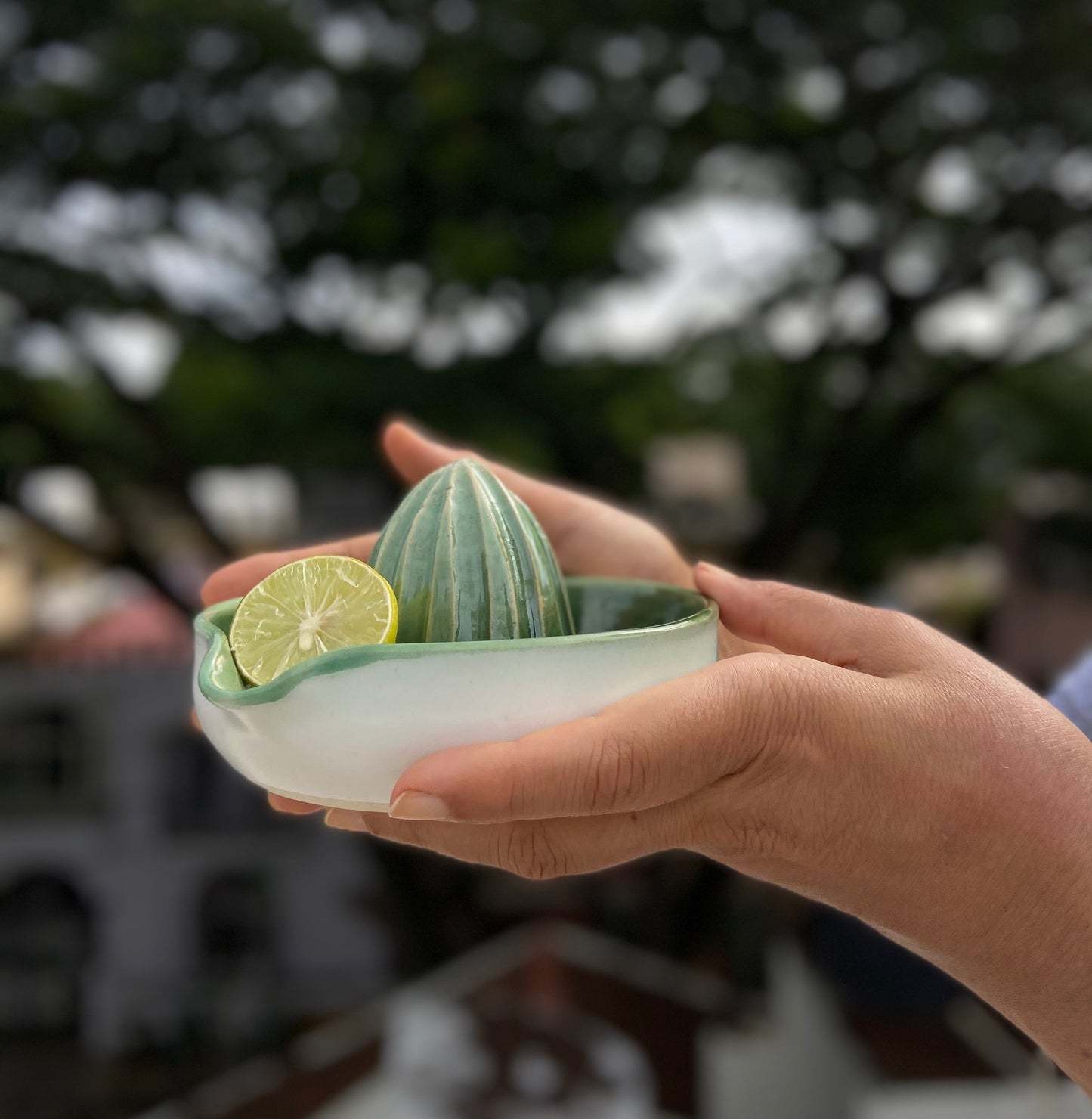 EMERALD FRUIT JUICER