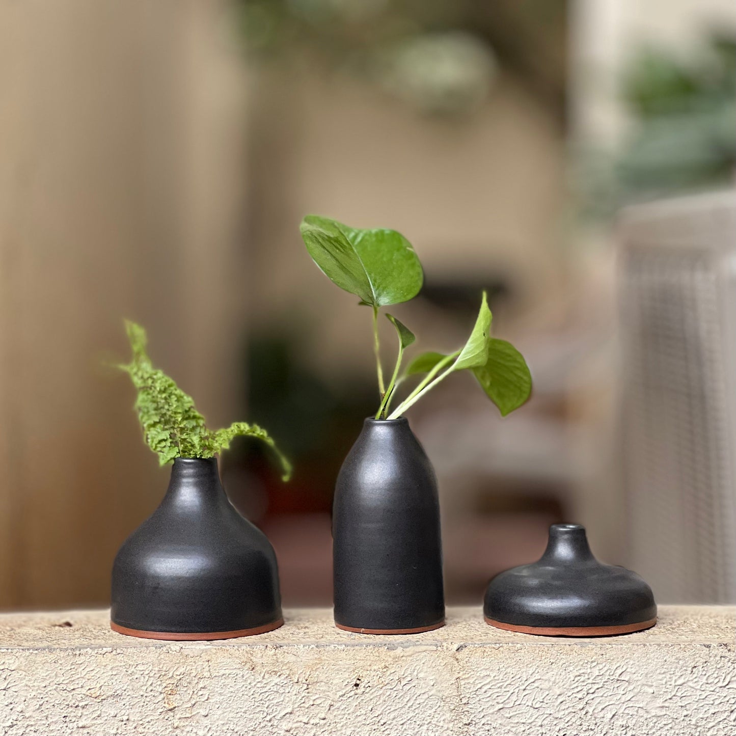 BUD VASES | SET OF 3 | THE FORAGING GARDEN COLLECTION