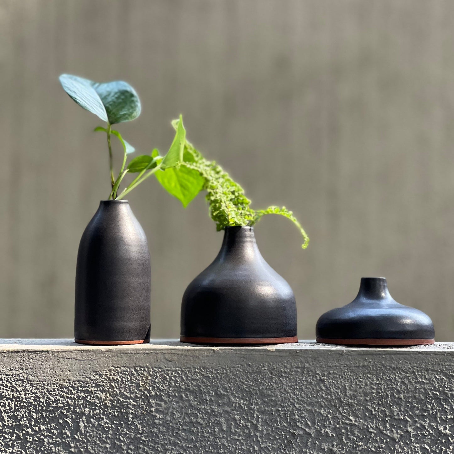 BUD VASES | SET OF 3 | THE FORAGING GARDEN COLLECTION