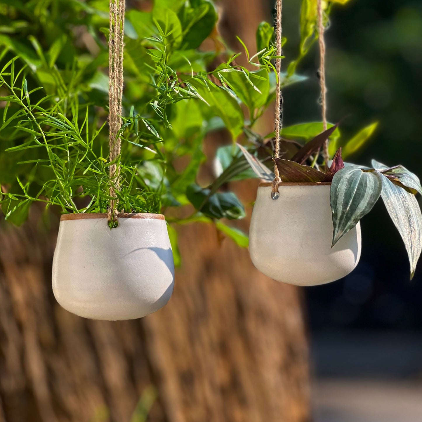 WHEATEN HANGING BUDS | SET OF 2
