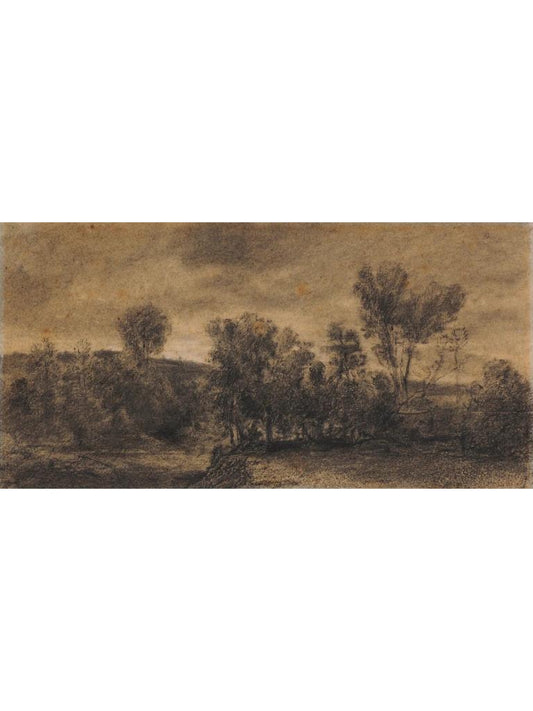 VINTAGE CHARCOAL TREE