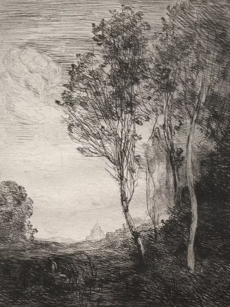 VINTAGE TREE SKETCH