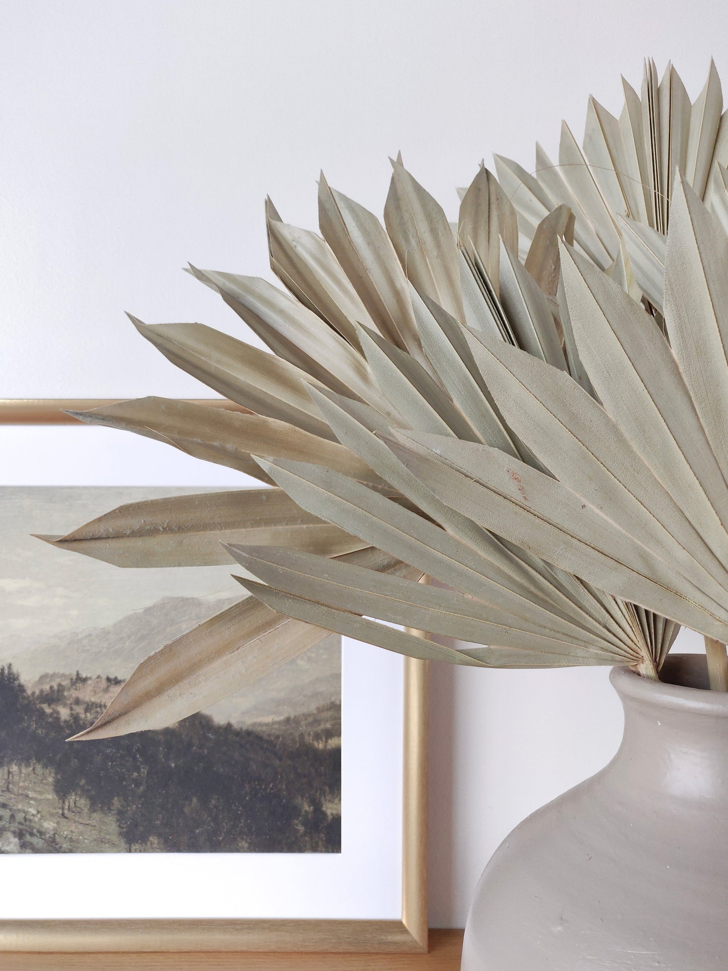 PALM SUN SPEAR