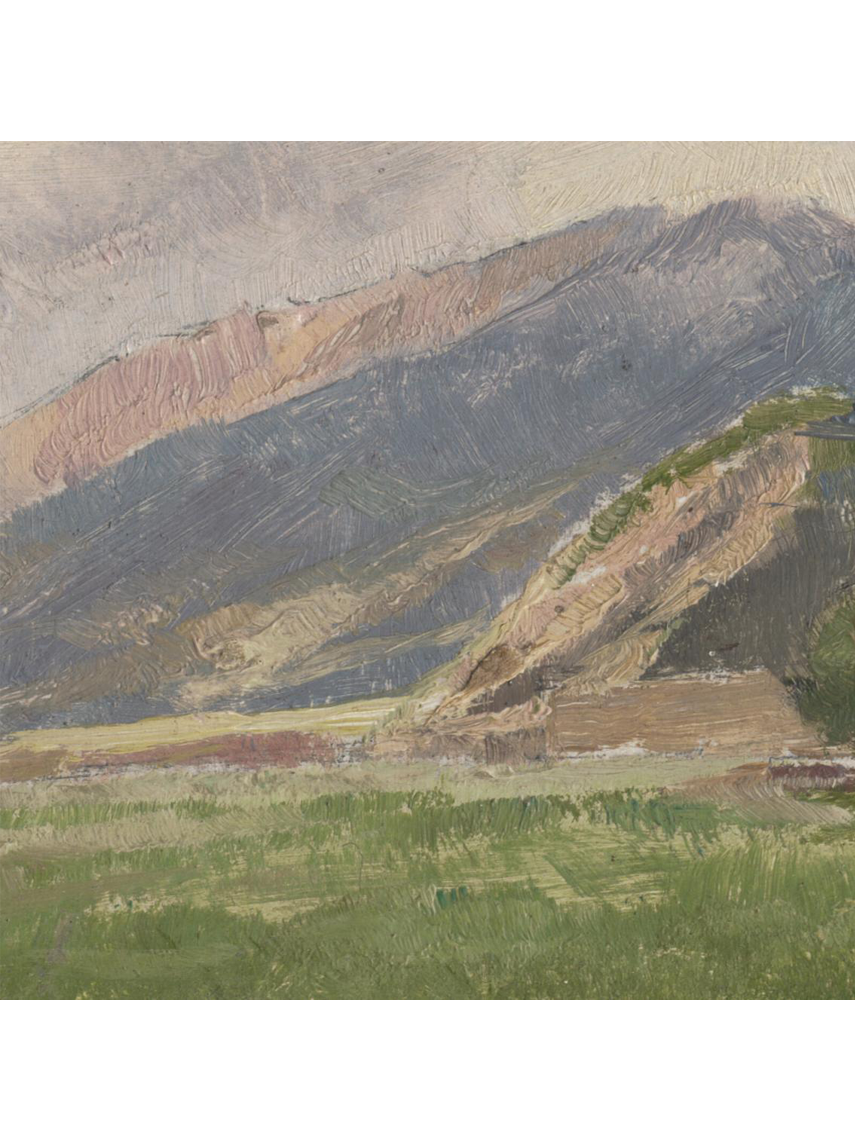MOUNTAIN MEADOW PAINTING
