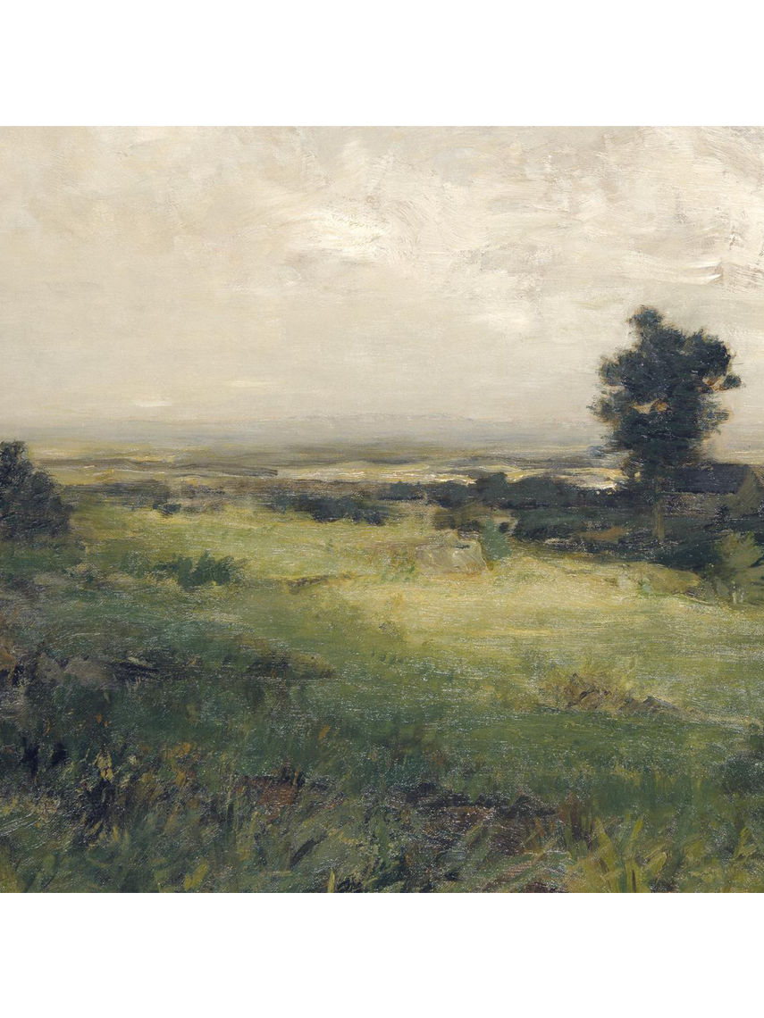 COUNTRY OIL PAINTING