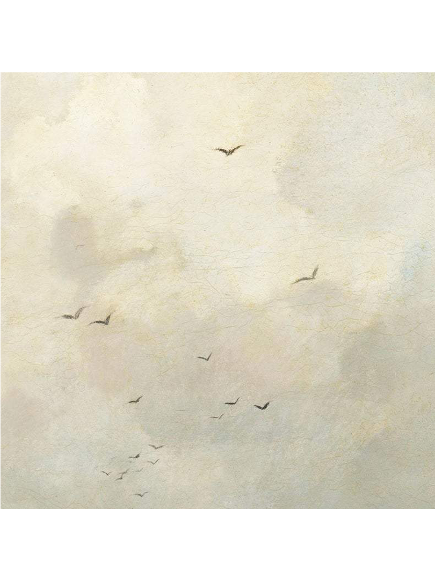 CLOUDS PAINTING
