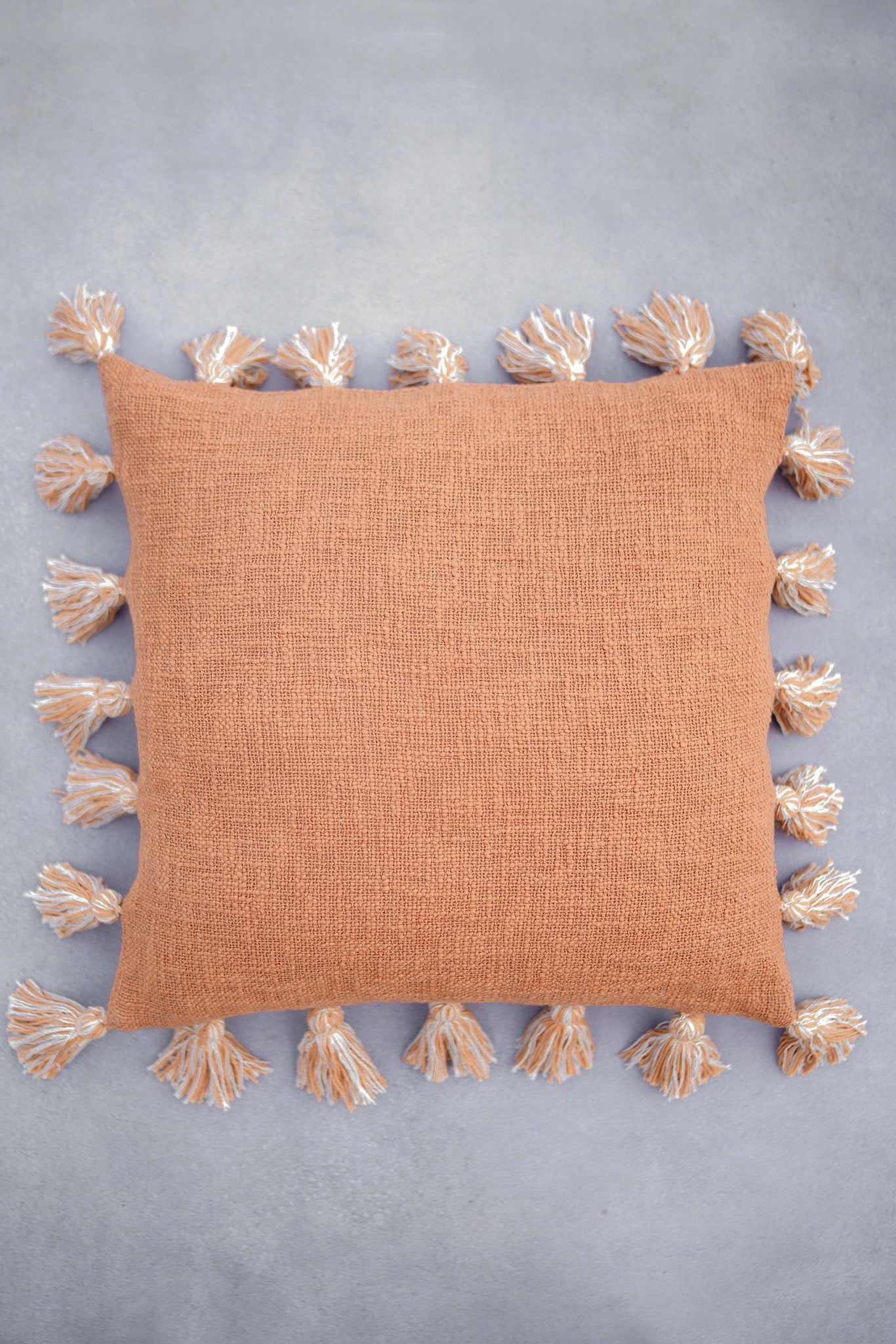 AISHA TASSEL CUSHION