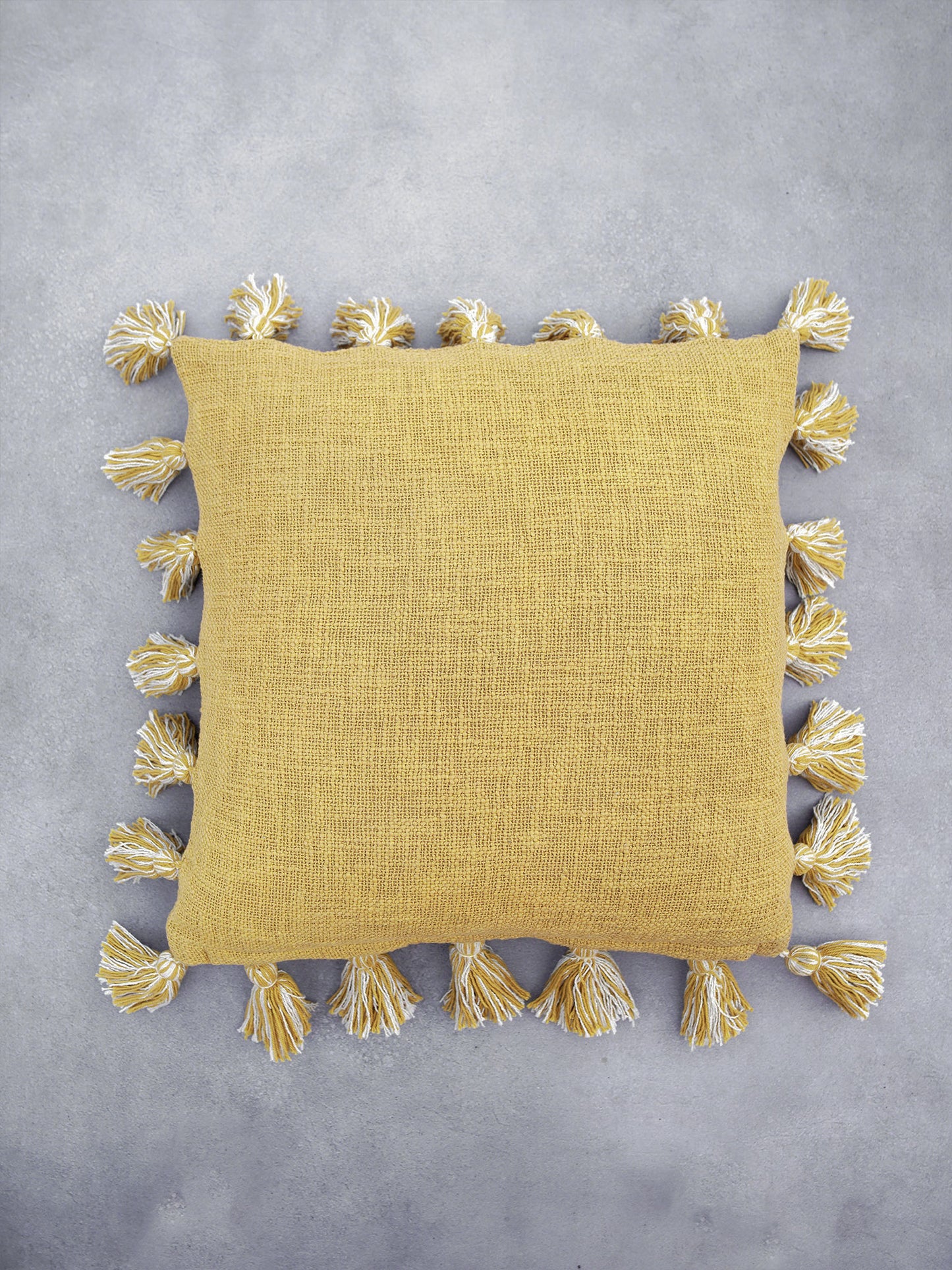 AISHA TASSEL CUSHION