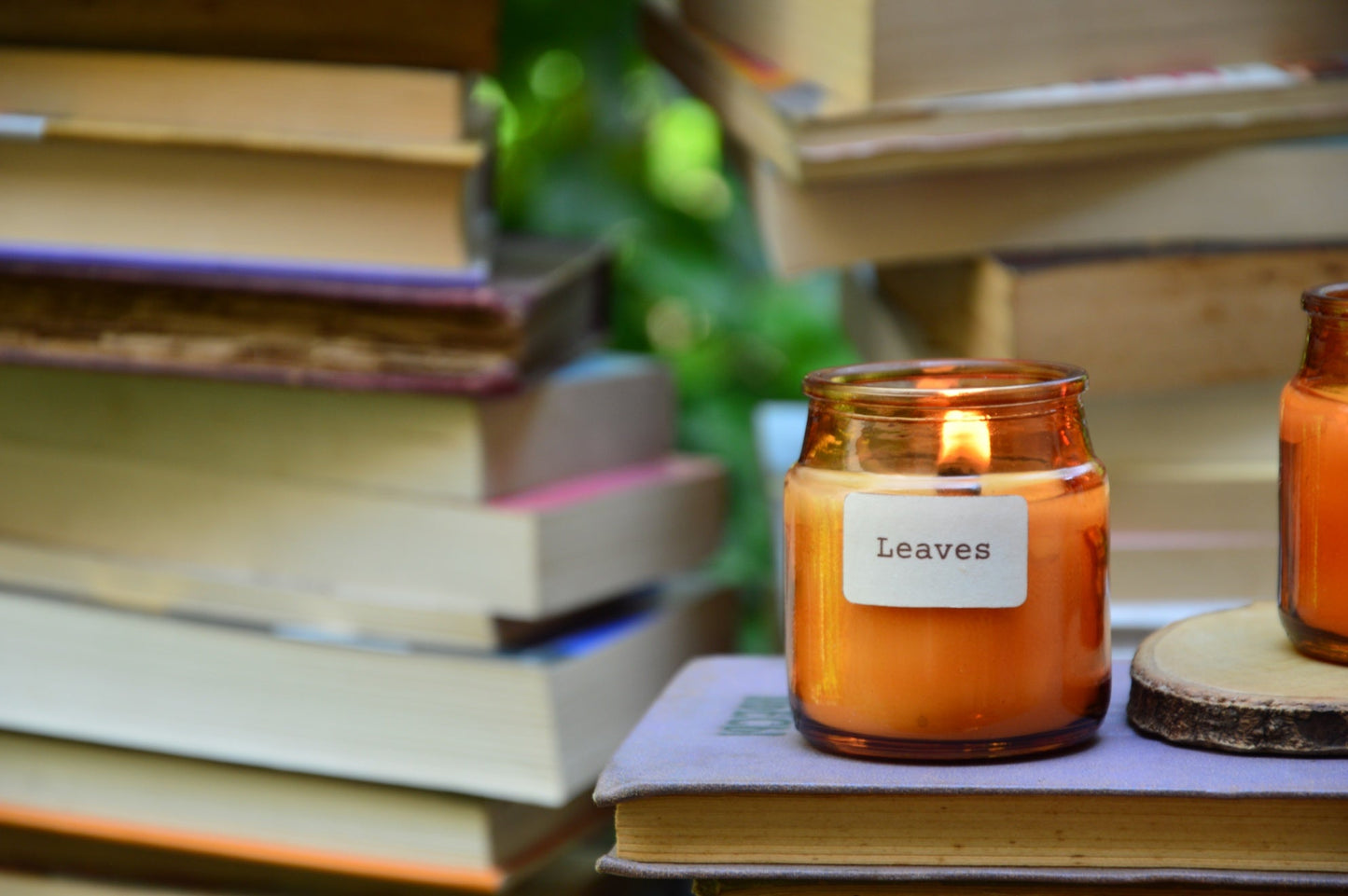SPEND A DAY AT THE LIBRARY