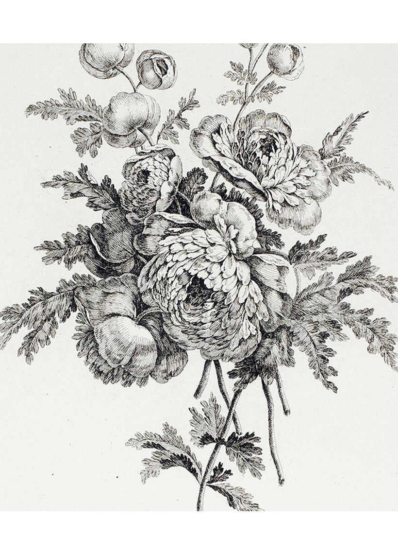 PEONY SKETCH #163