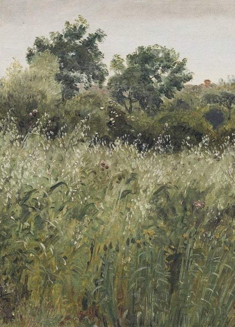 COUNTRY LANDSCAPE