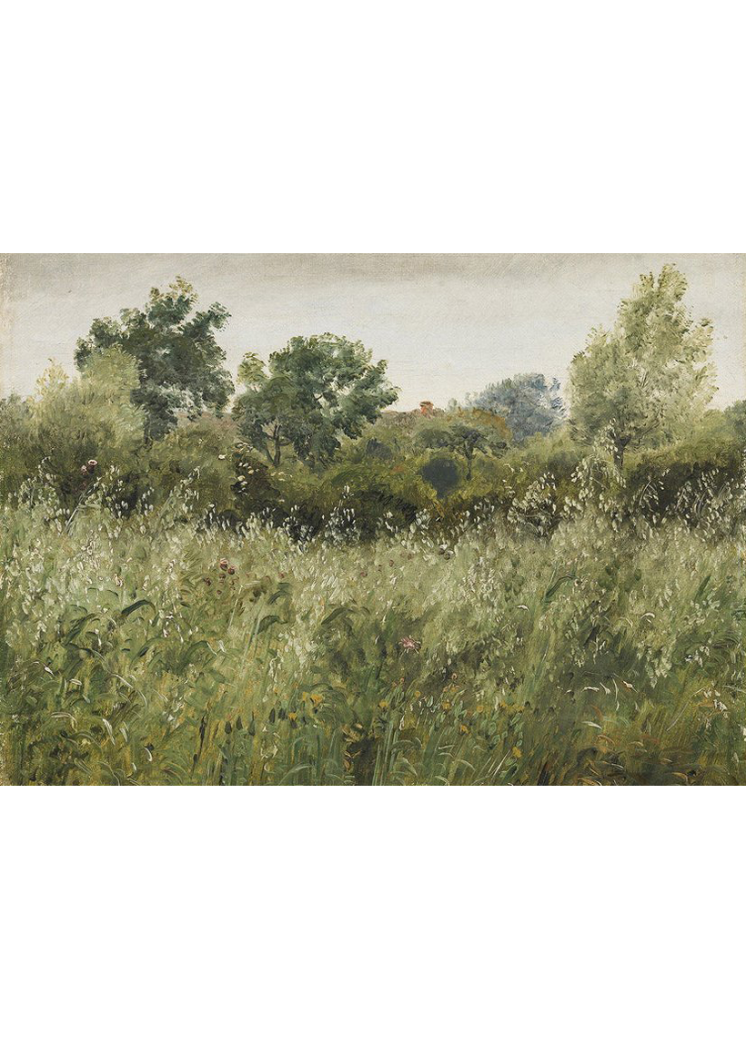 COUNTRY LANDSCAPE