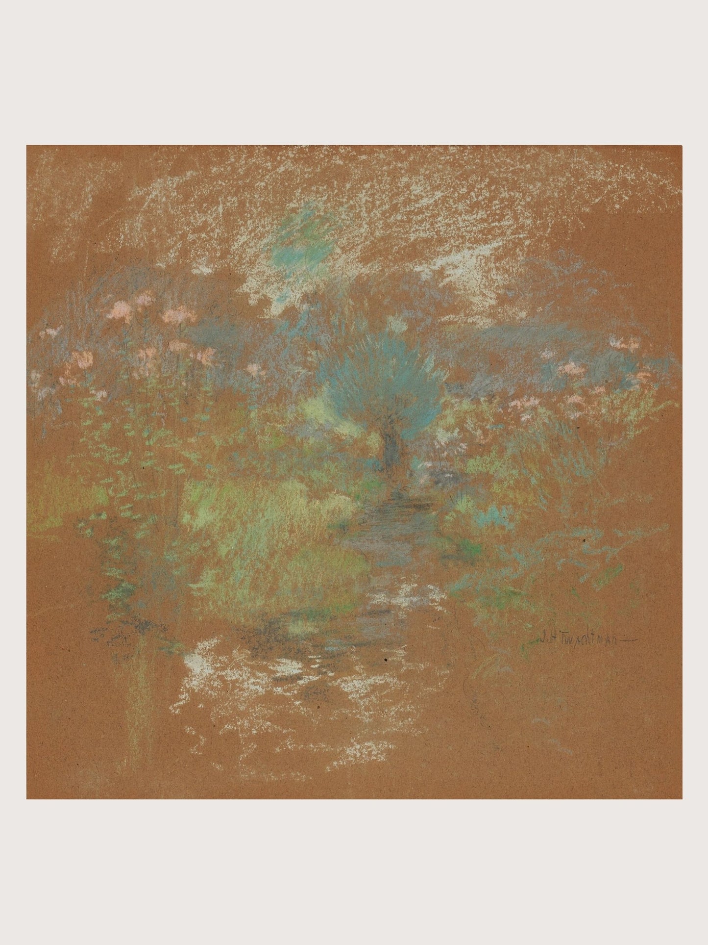 FIELDS OF AMBER