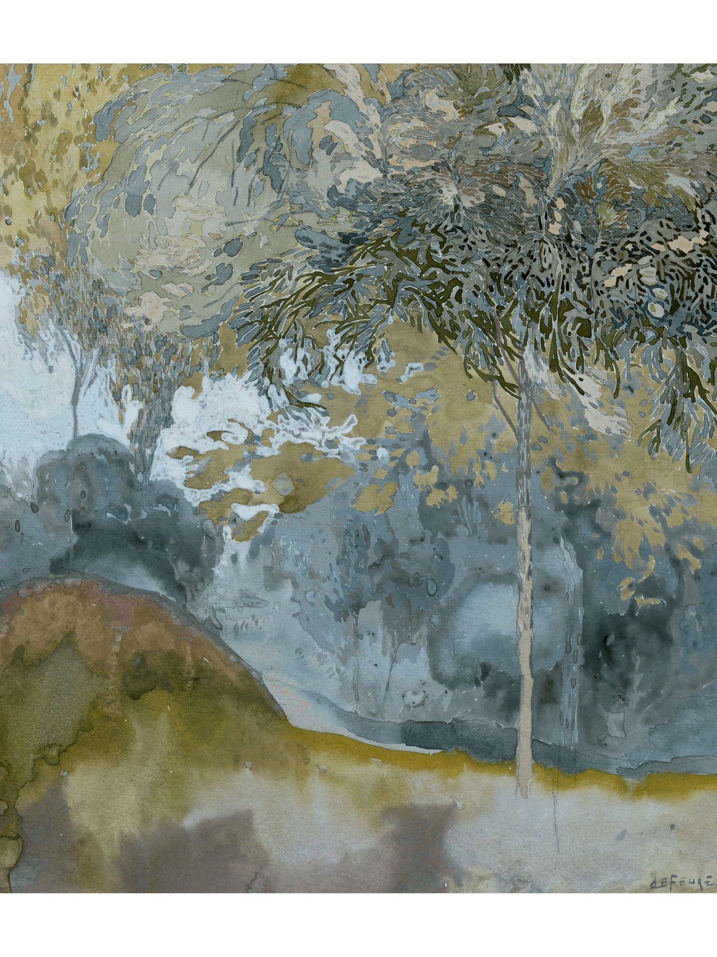 MORNING FOREST