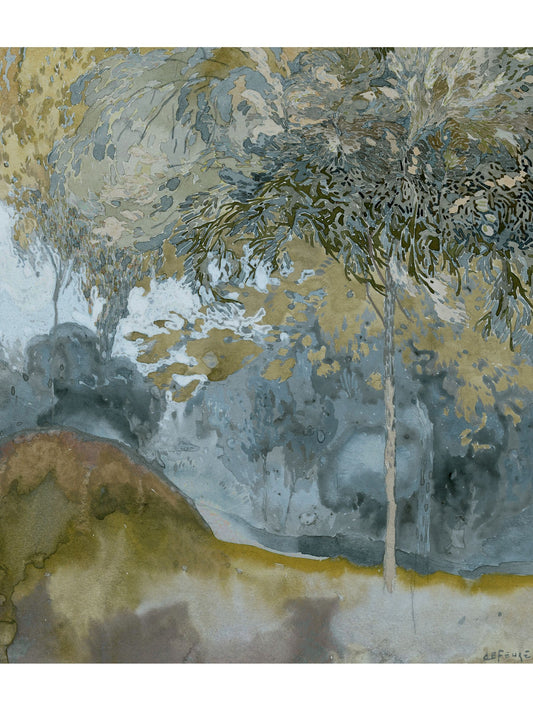 MORNING FOREST