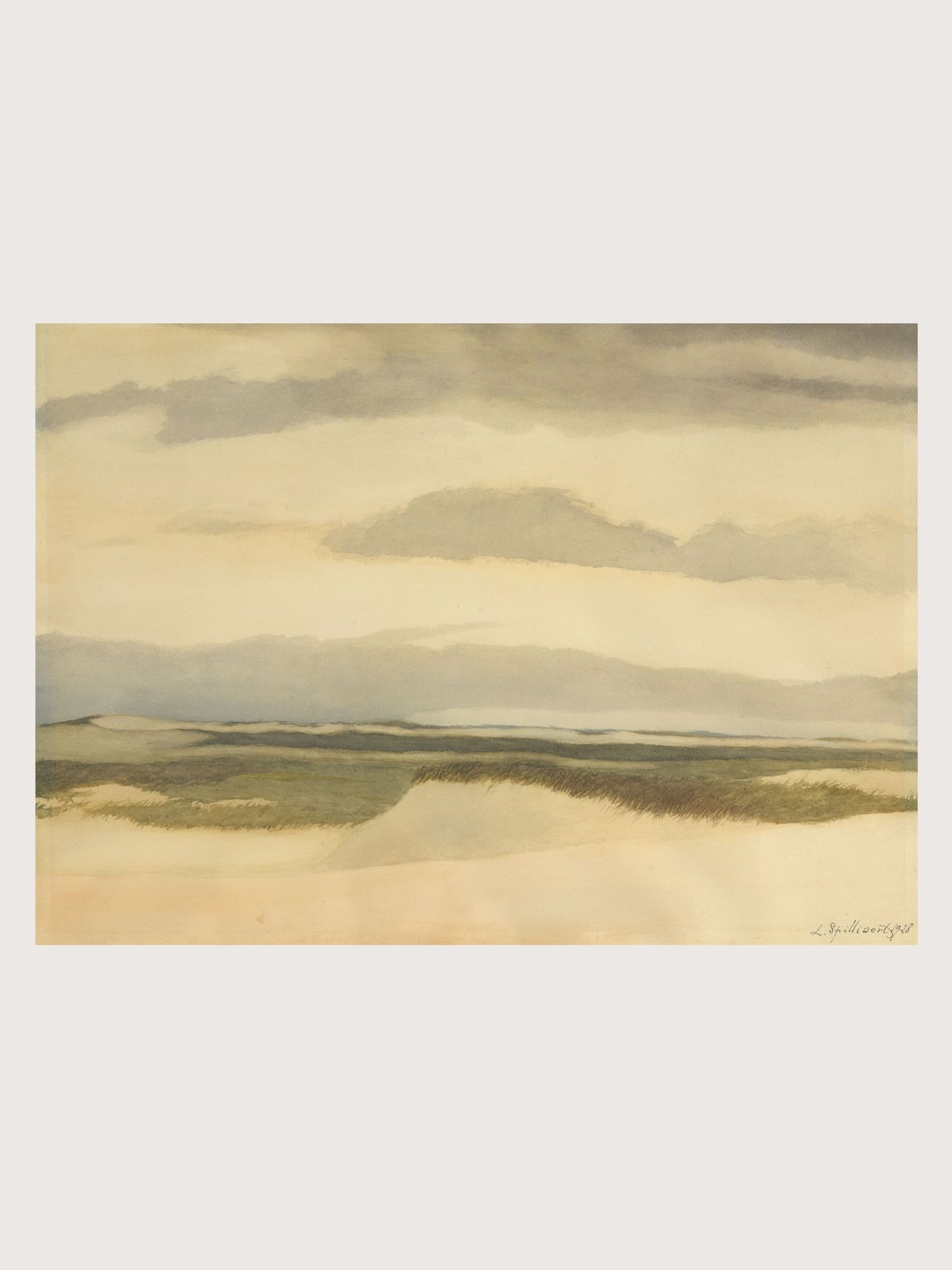 COASTAL DUNE