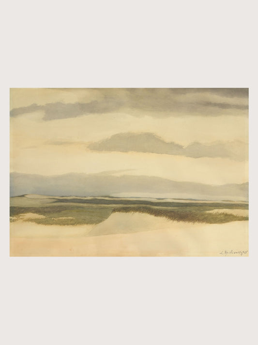 COASTAL DUNE
