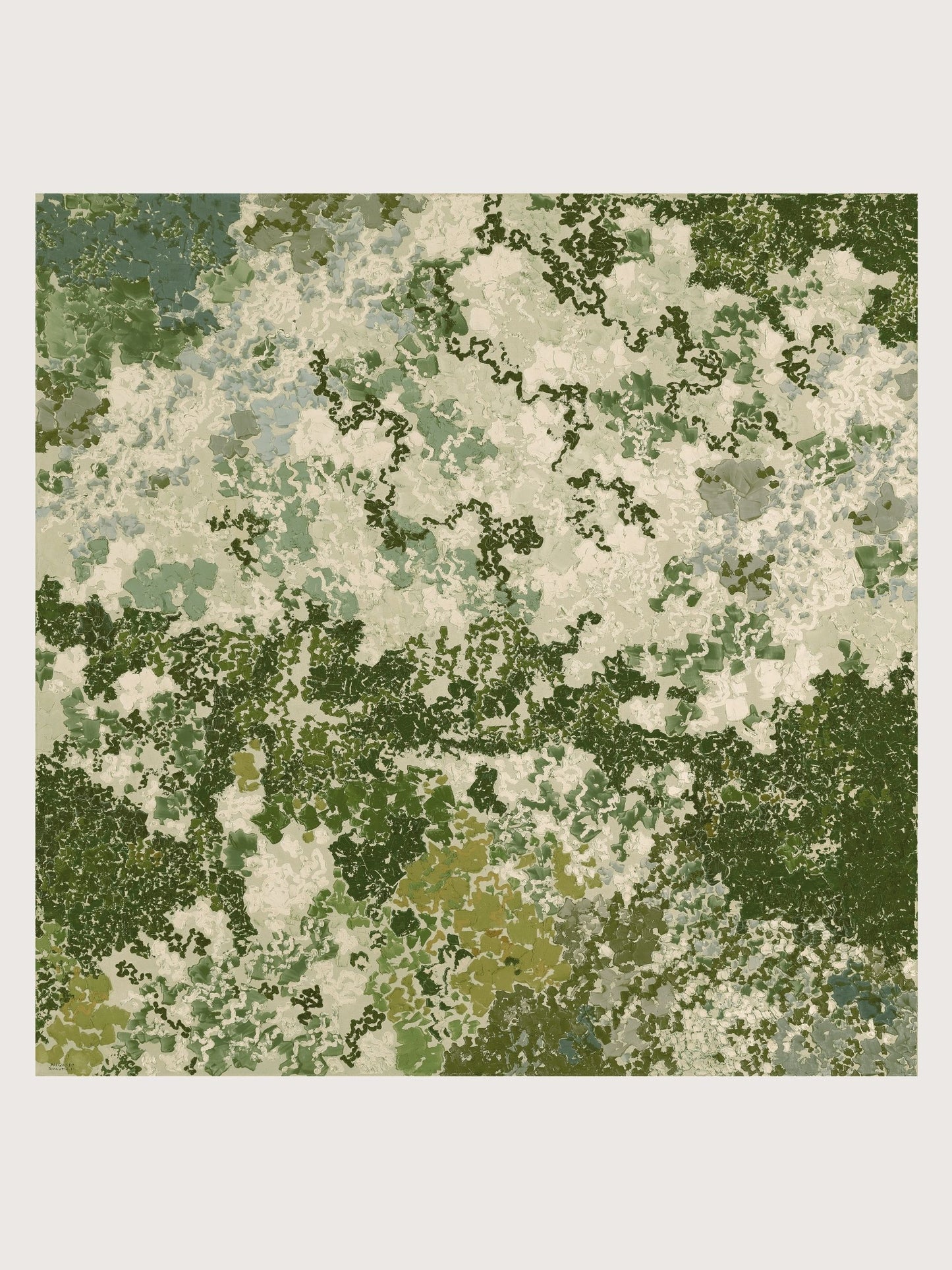 STUDY OF MOSS
