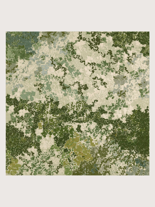 STUDY OF MOSS