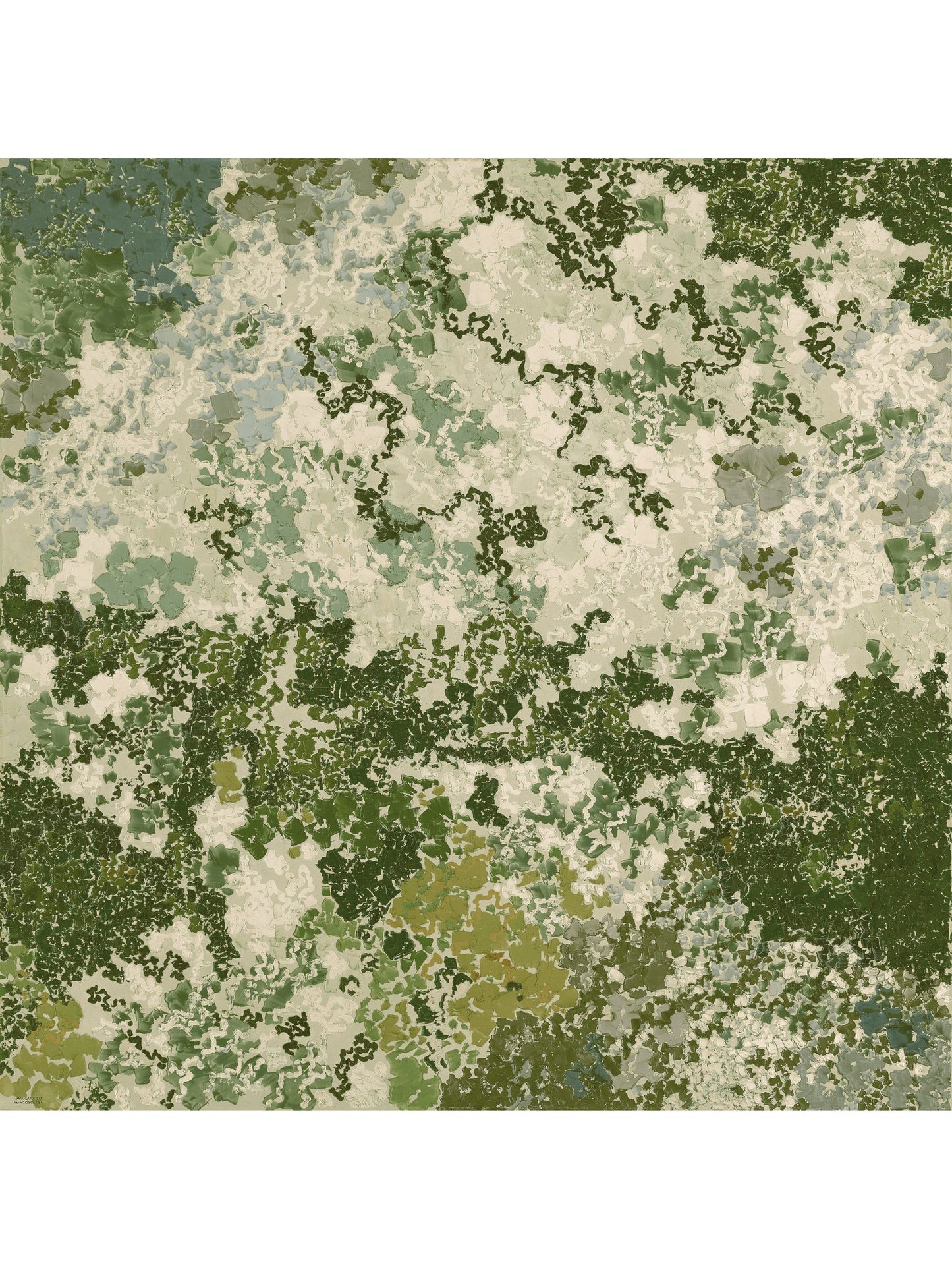 STUDY OF MOSS