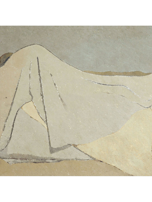 THE WHITE HILLS