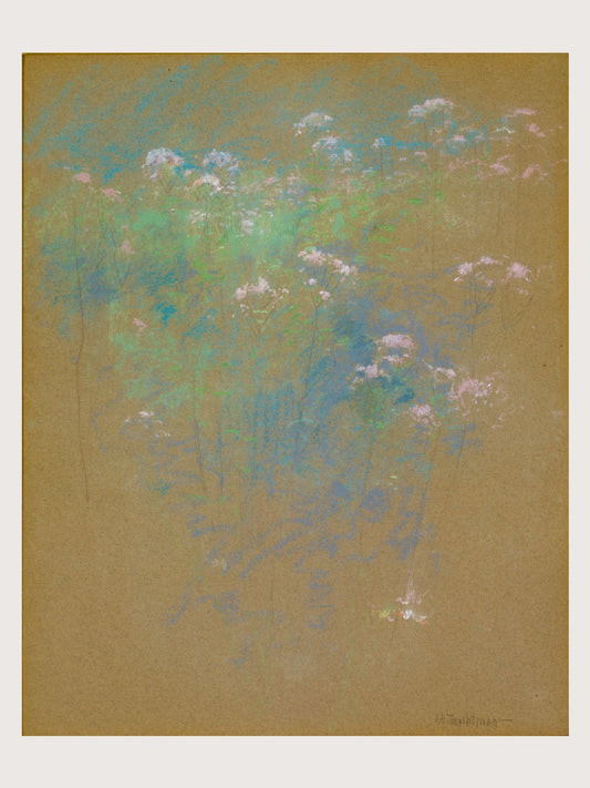WILD MEADOW