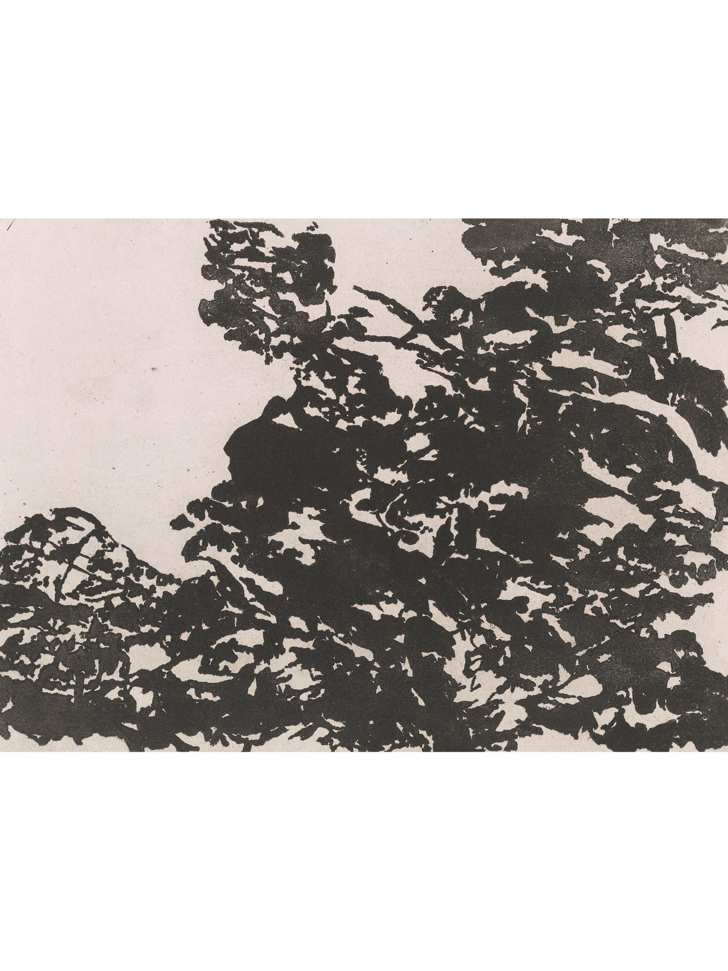 ALPINE LANDSCAPE GALLERY SET