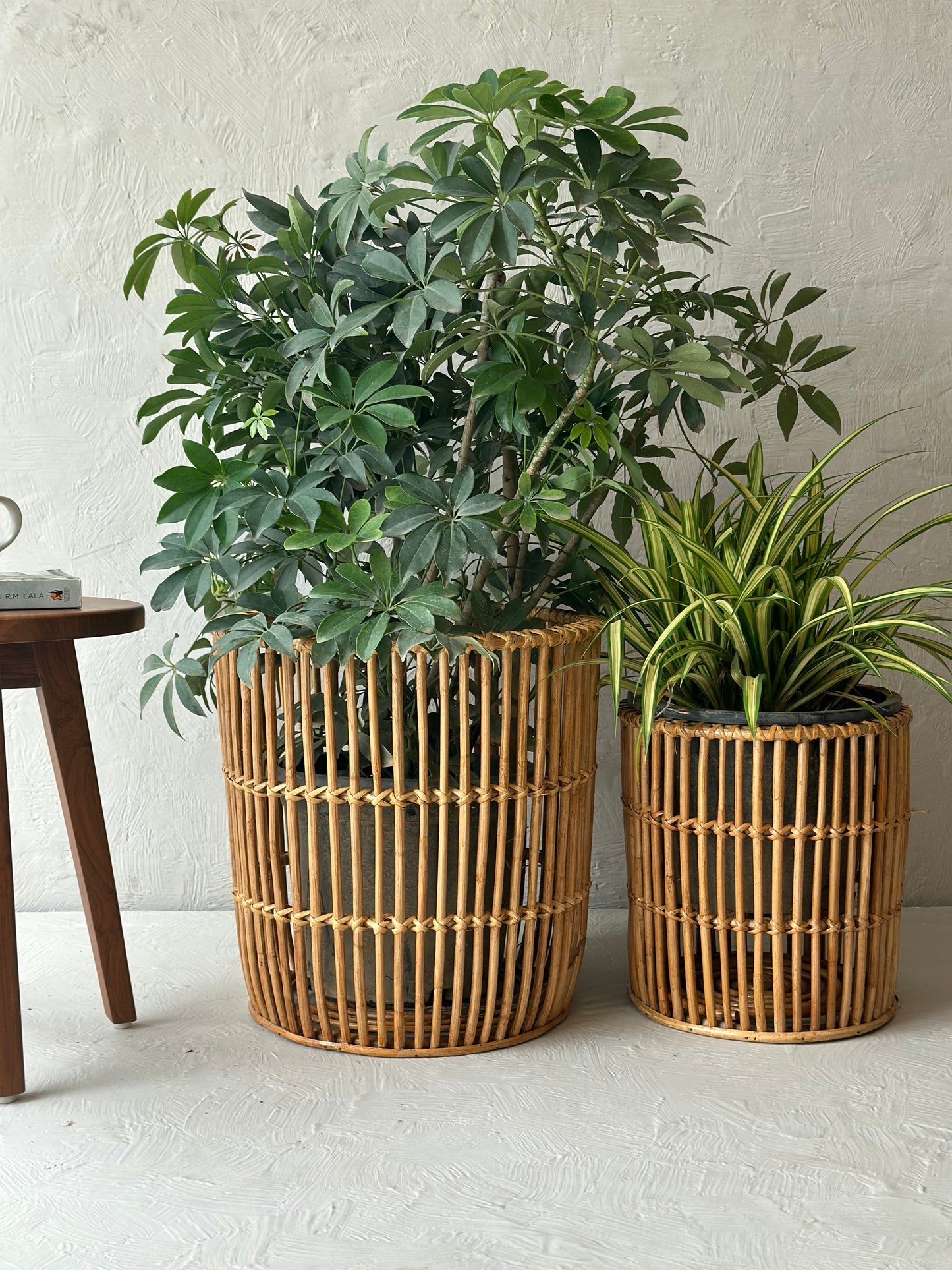 OPEN WEAVE PLANTER