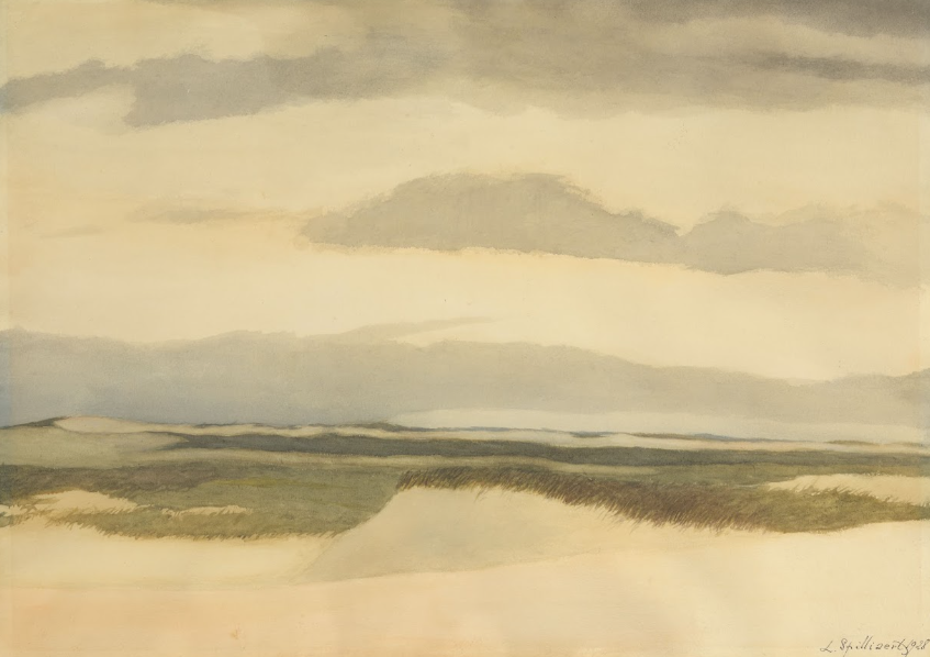 COASTAL DUNE