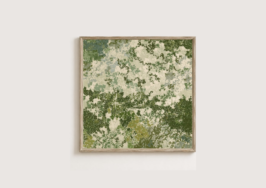STUDY OF MOSS