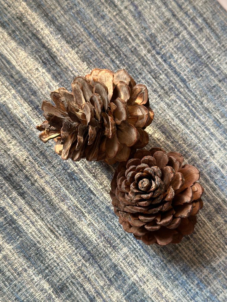 SET OF 4 RUSTIC PINE CONES