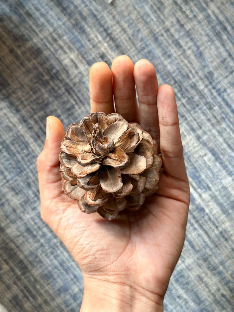 SET OF 4 RUSTIC PINE CONES