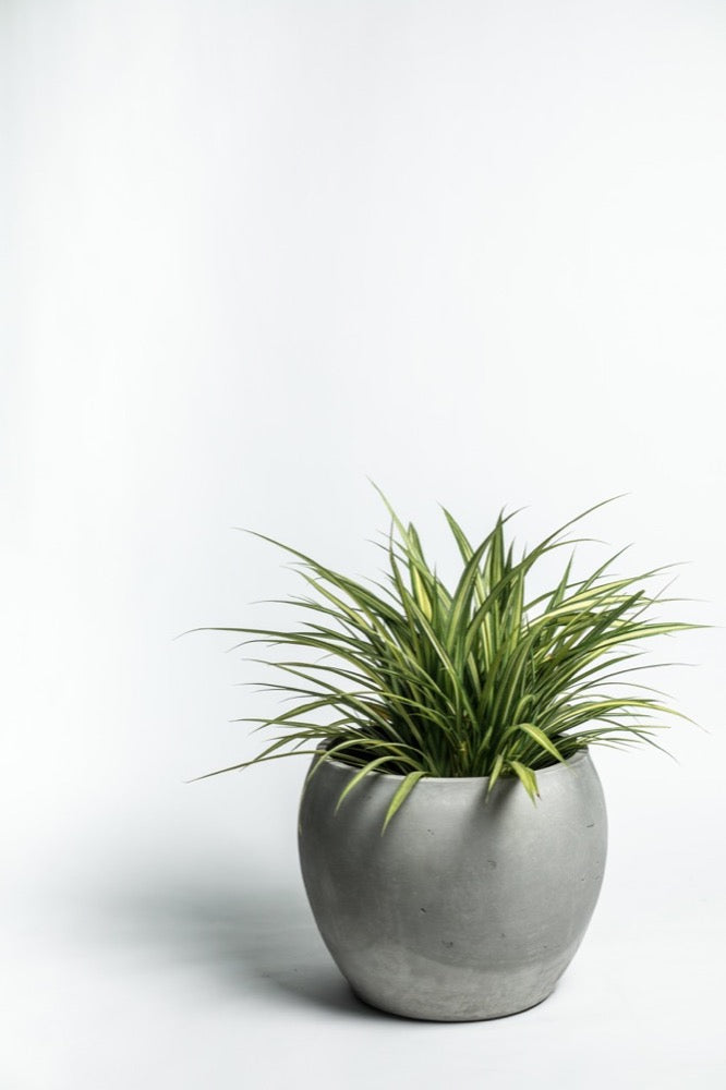 CONCRETE PLANTER - VOLTA