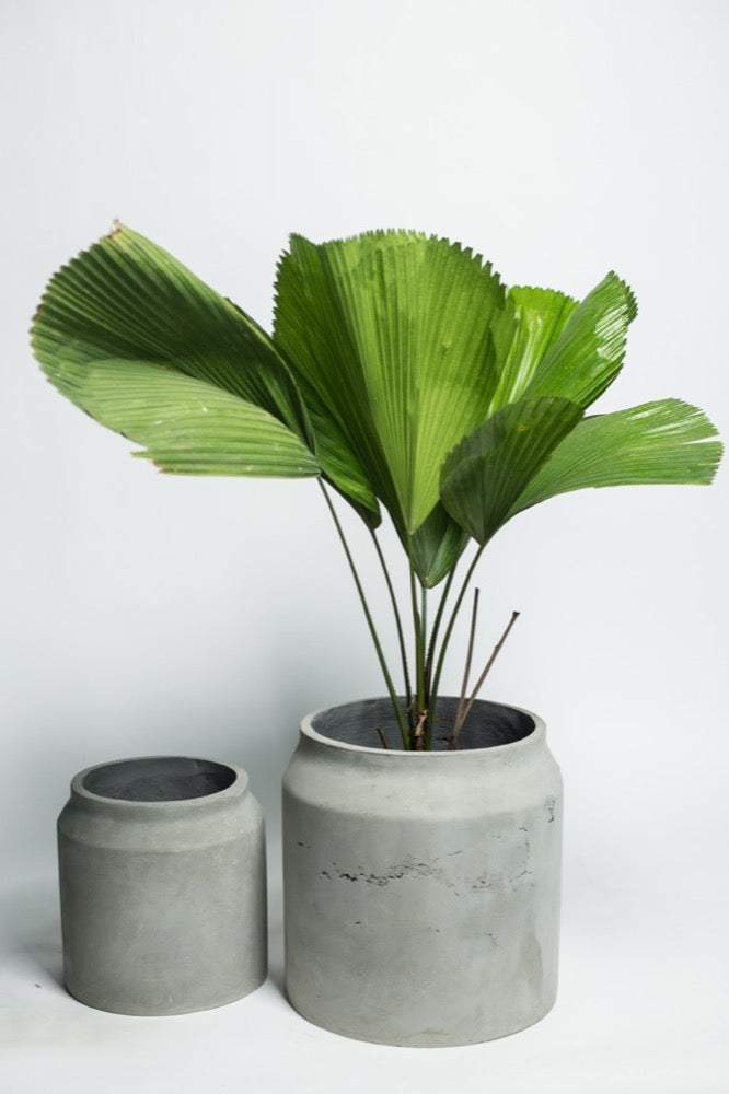 CONCRETE PLANTER - MAISON