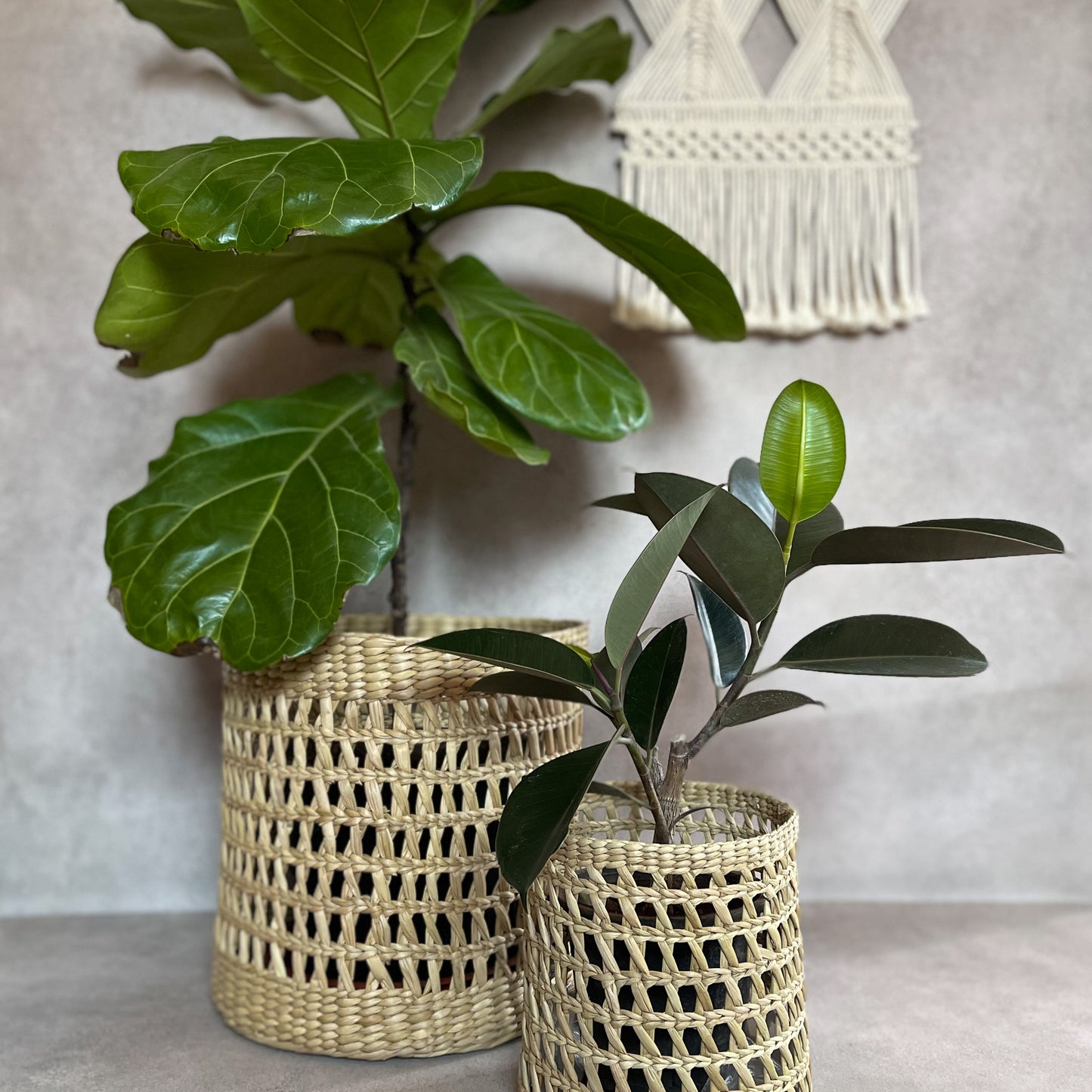 PLANTER BASKET