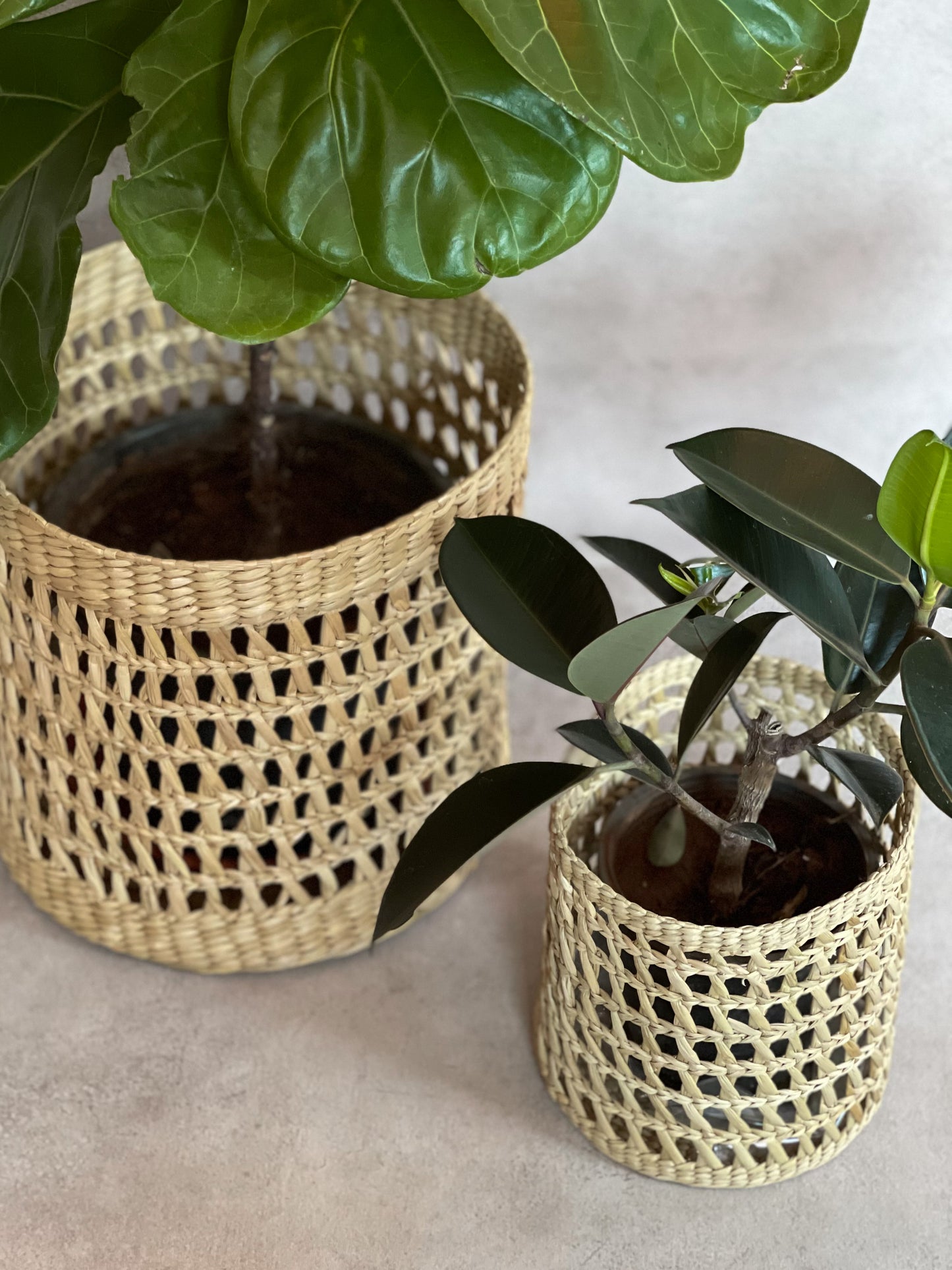 PLANTER BASKET