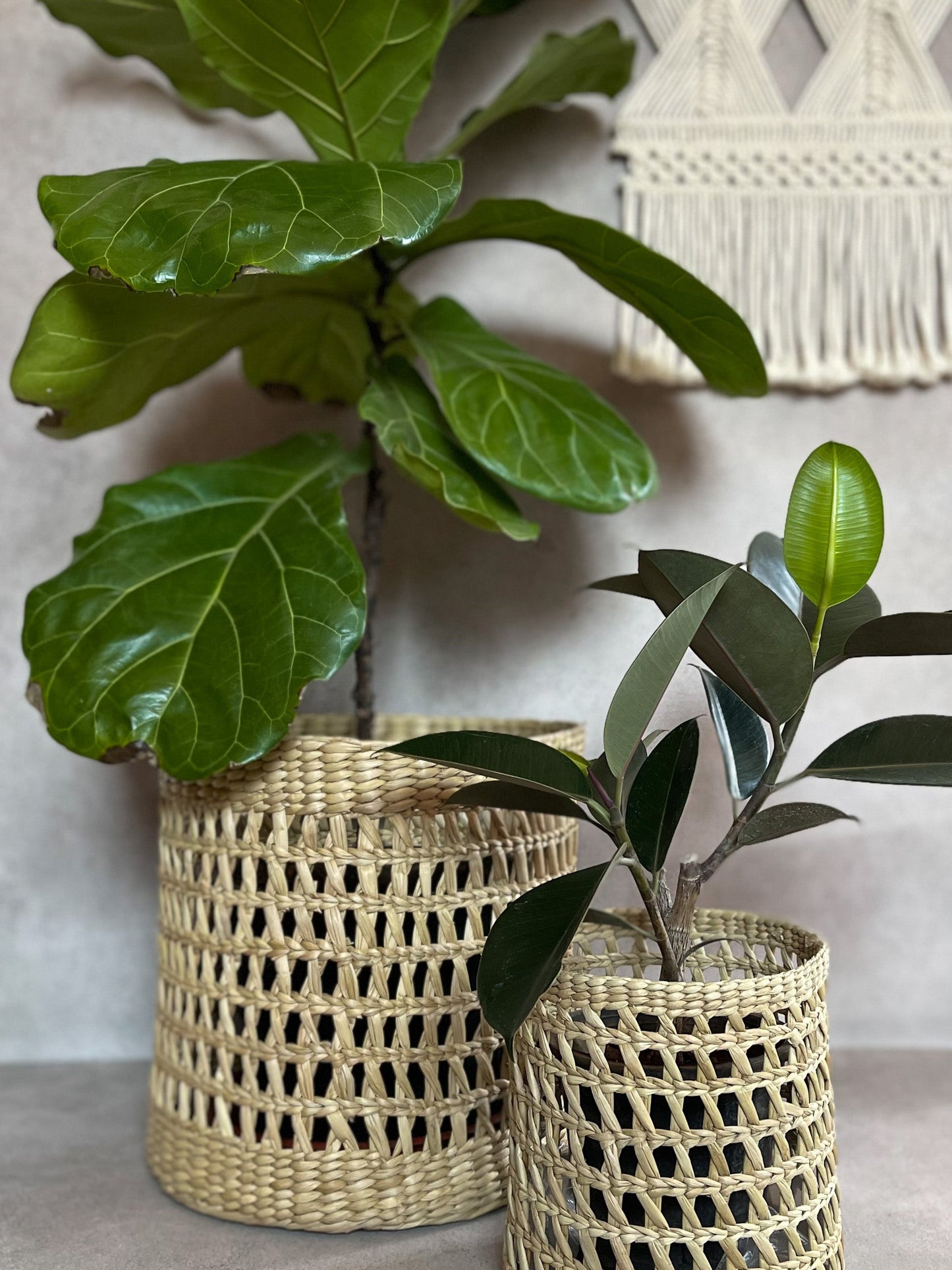 PLANTER BASKET